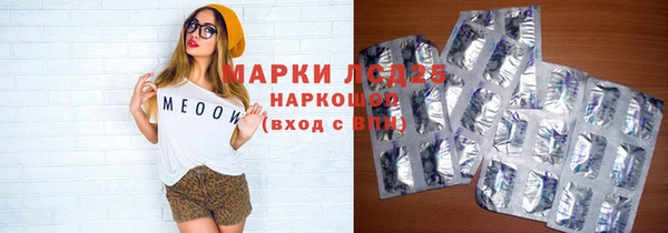 индика Инсар