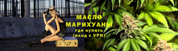 дмт Алексин